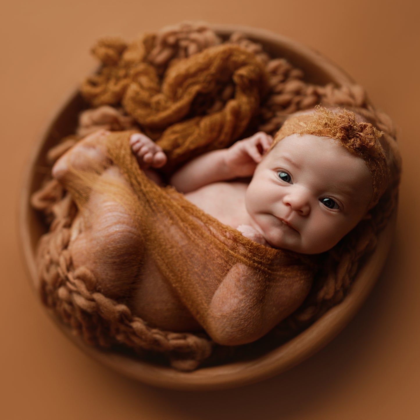 Lacey Bow Band | Bantha