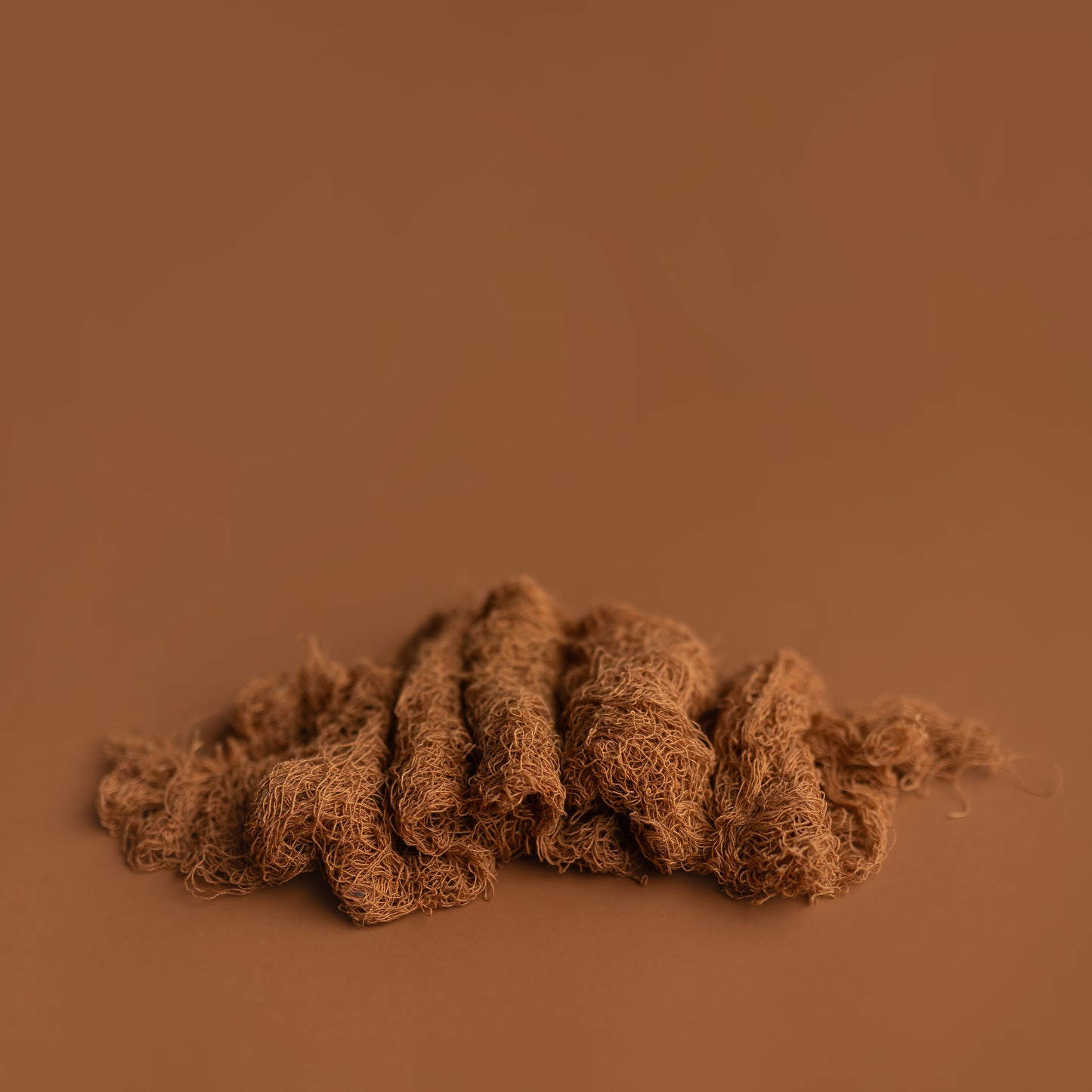 Nuthin But Net | Bantha