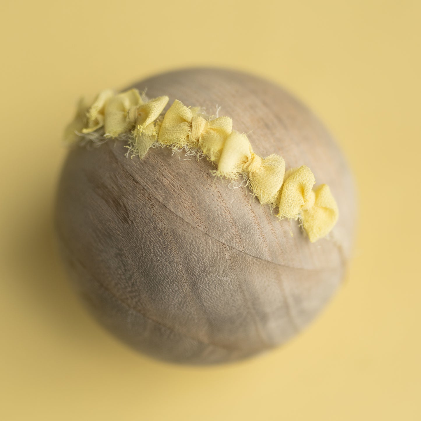 Sweet Little Bow Band | Butter Cow