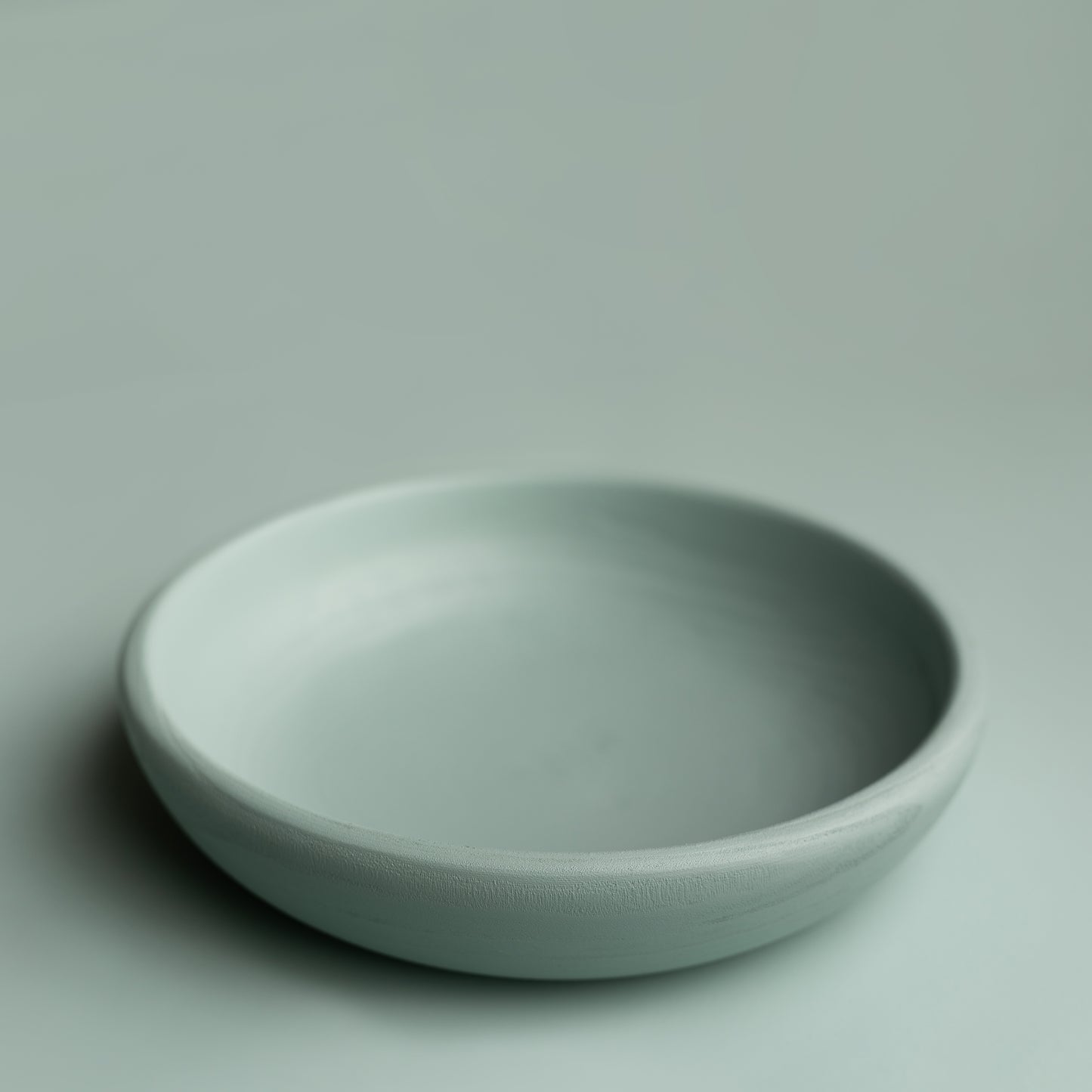 Sweet Little Bowl | Cactus