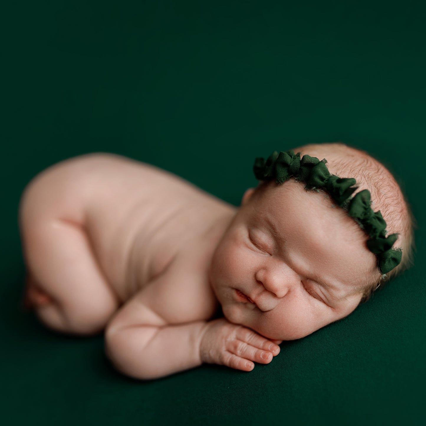 Sweet Little Bow Band | Cedar