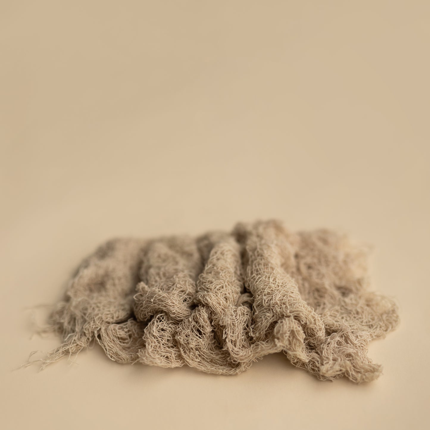 Nuthin But Net | Froth