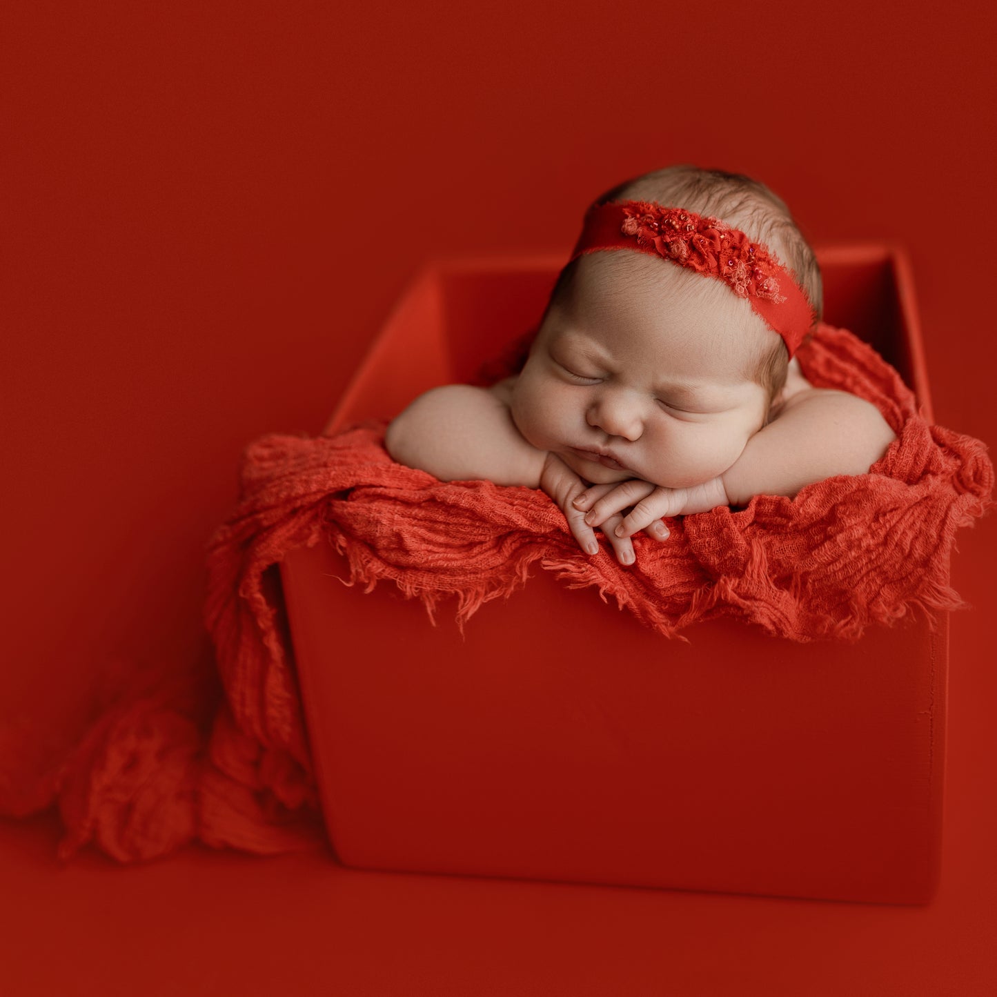 Seamless Paper | Poppy