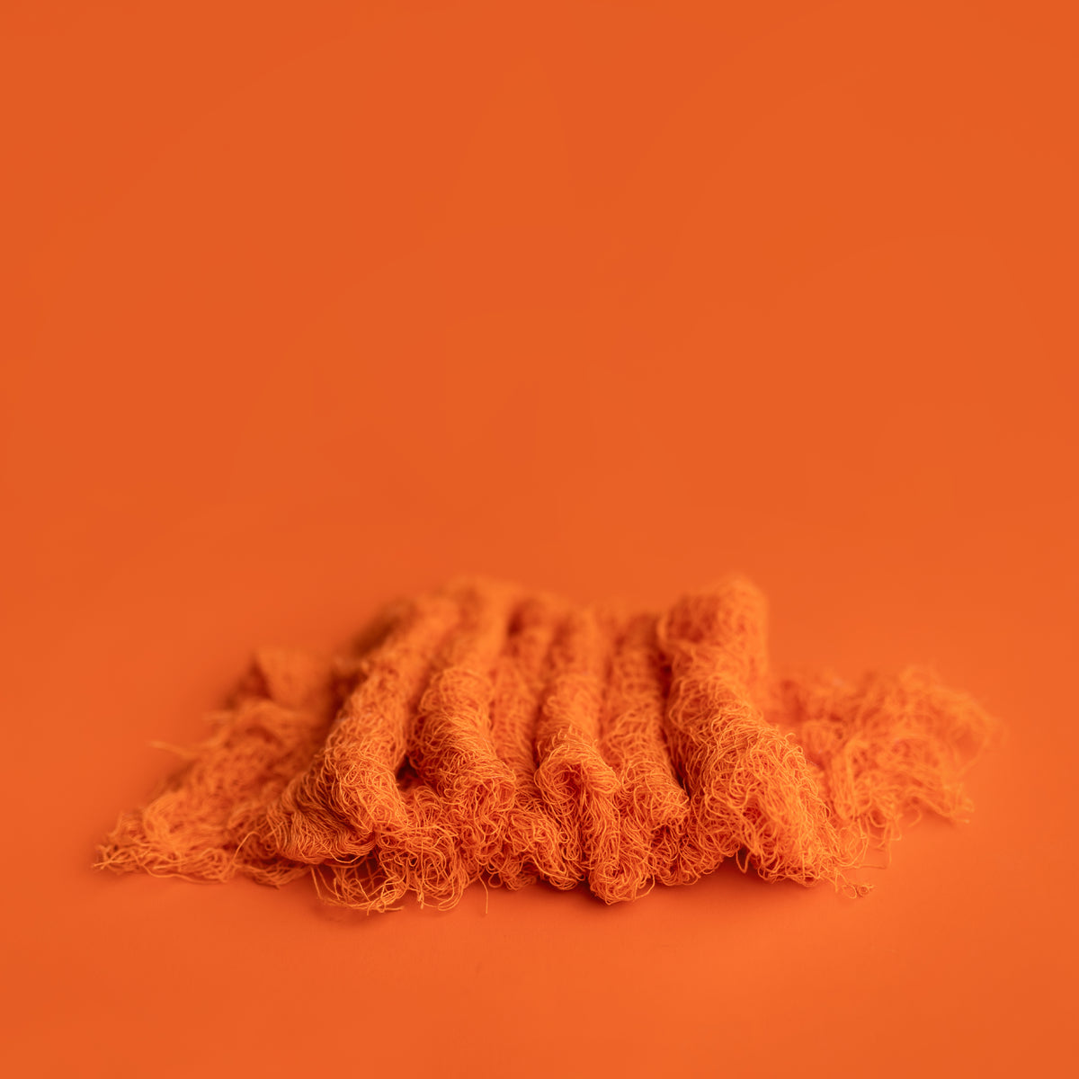 Nuthin But Net | Pylon