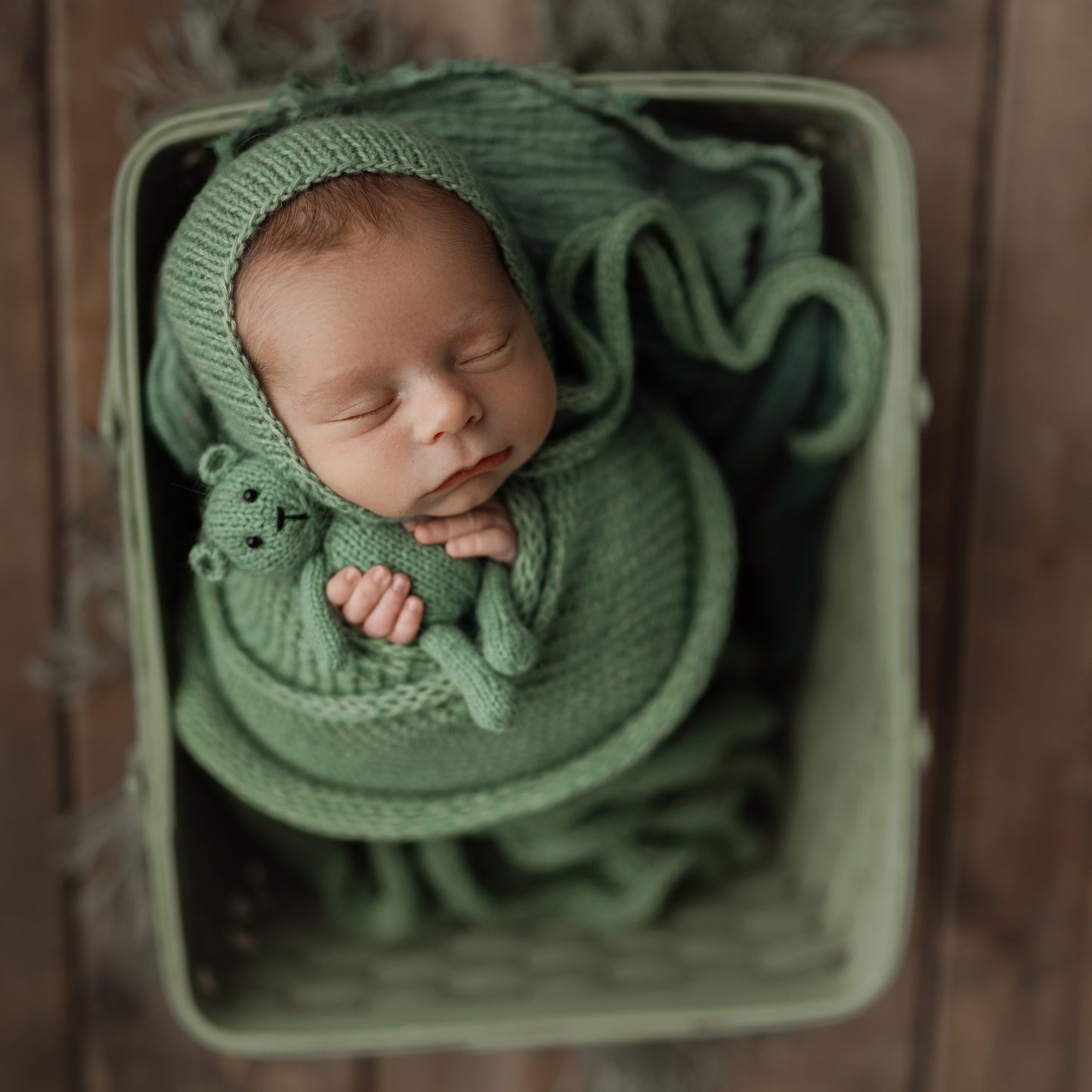 Dorothy Basket | Succulent