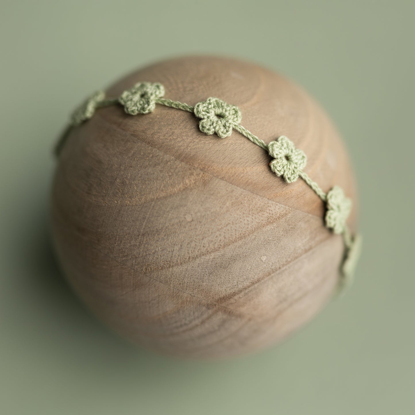 Flower Child Band | Succulent