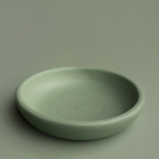 Sweet Little Bowl | Succulent