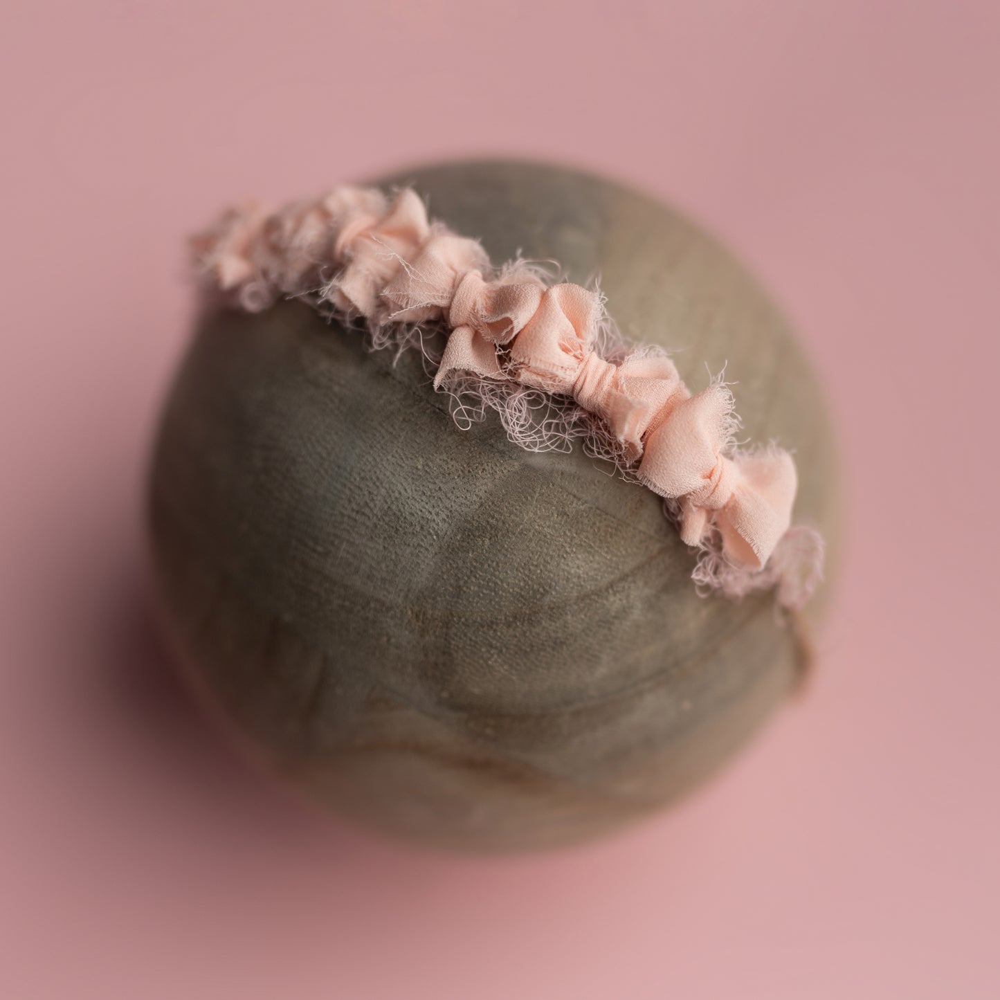 Sweet Little Bow Band | Tulip Time