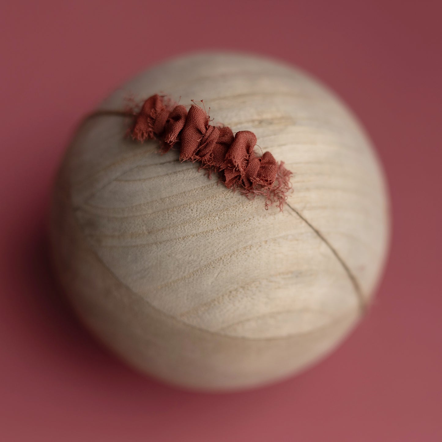 Dinky Bow Band | Wisteria Lane