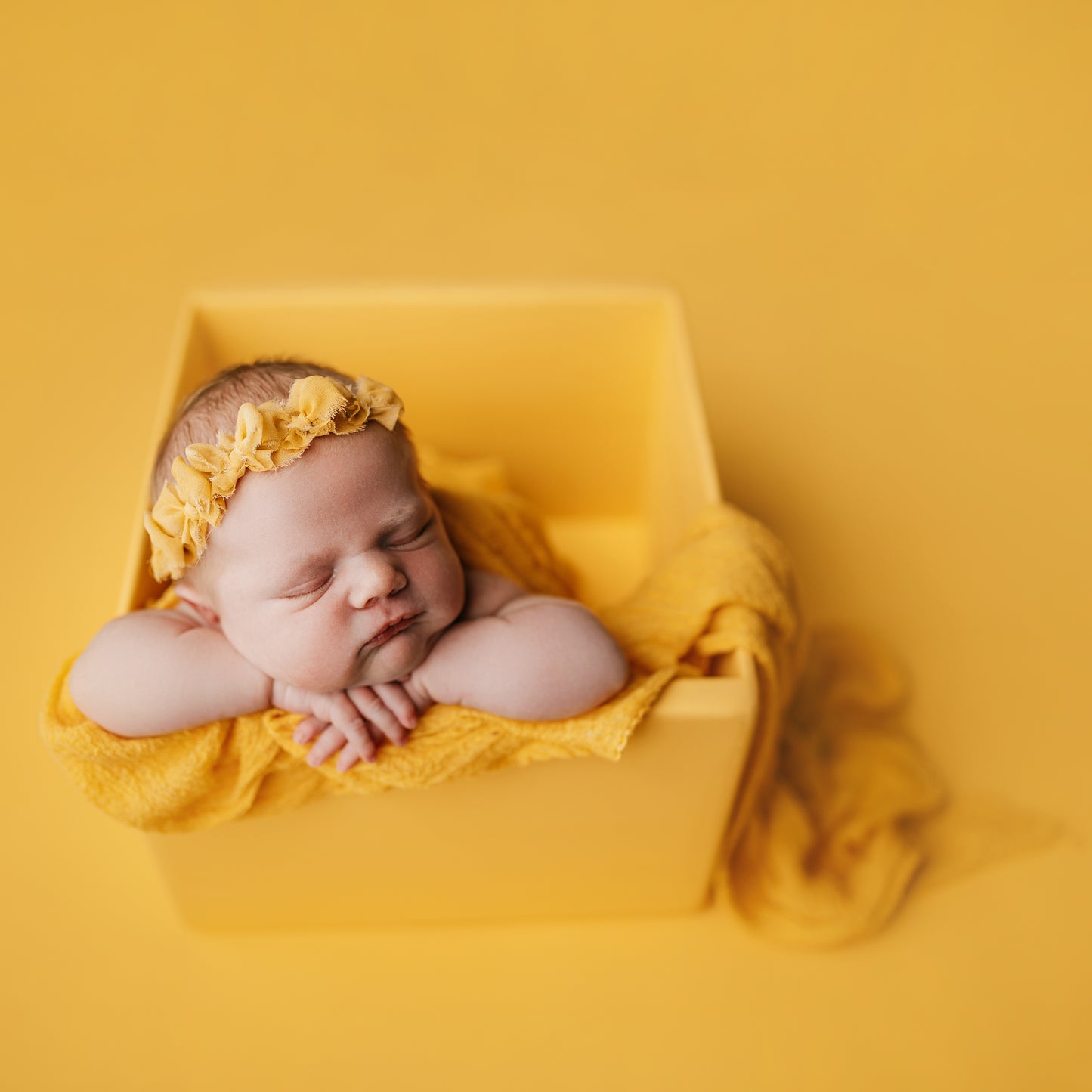 Seamless Paper | Honeycomb