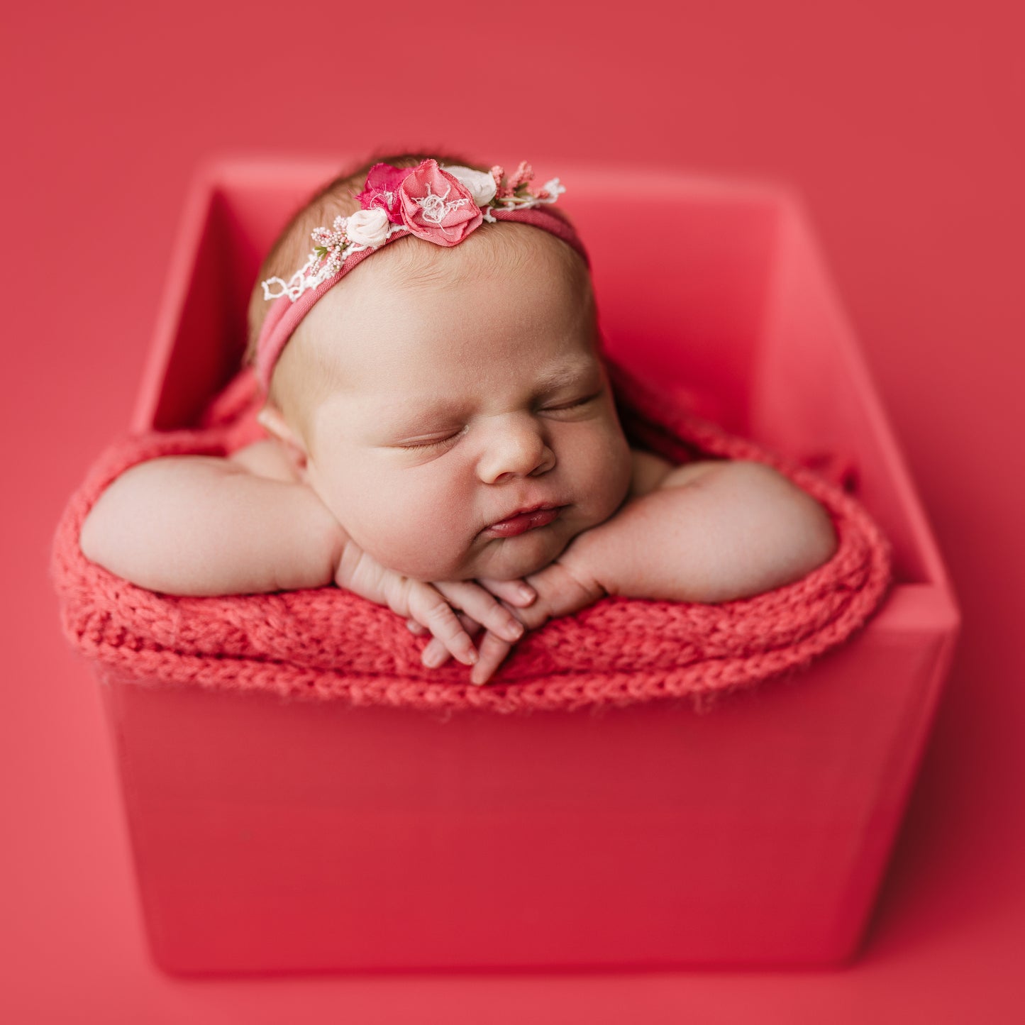 Seamless Paper | Melrose