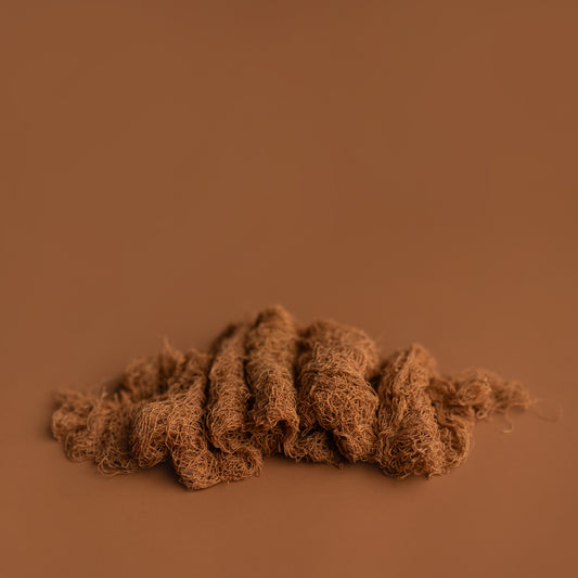 Nuthin But Net | Bantha