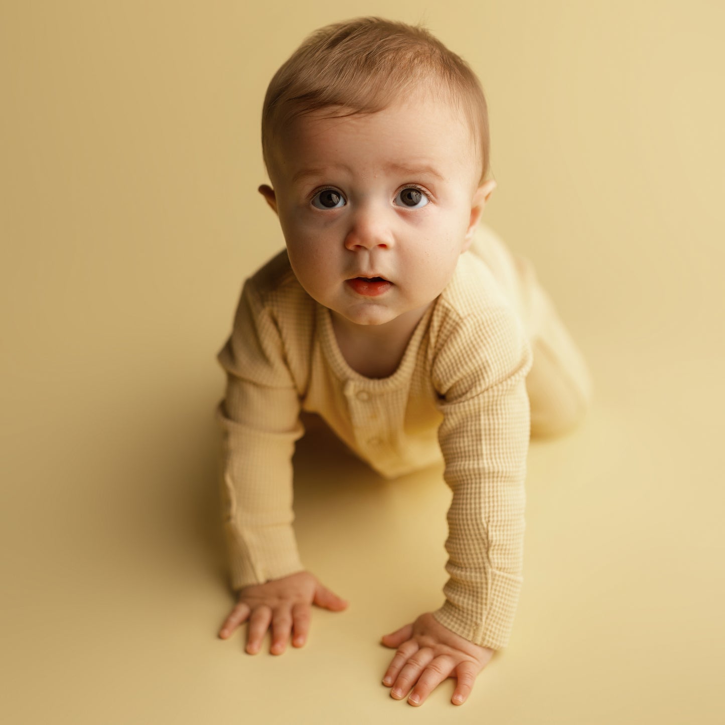 Seamless Paper | Butter Cow