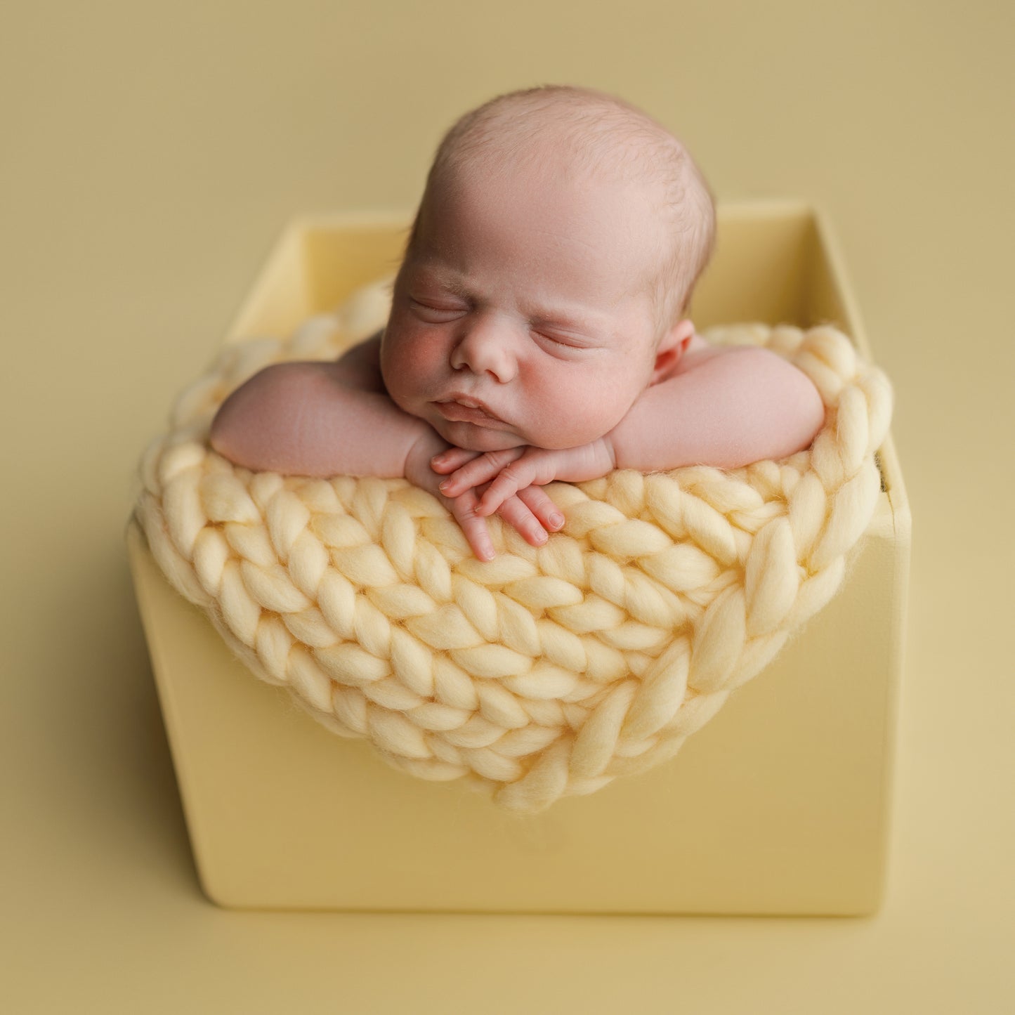 Seamless Paper | Butter Cow