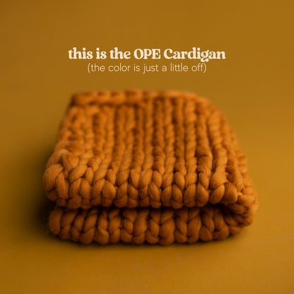 Merino Mini Blanket | Cardigan