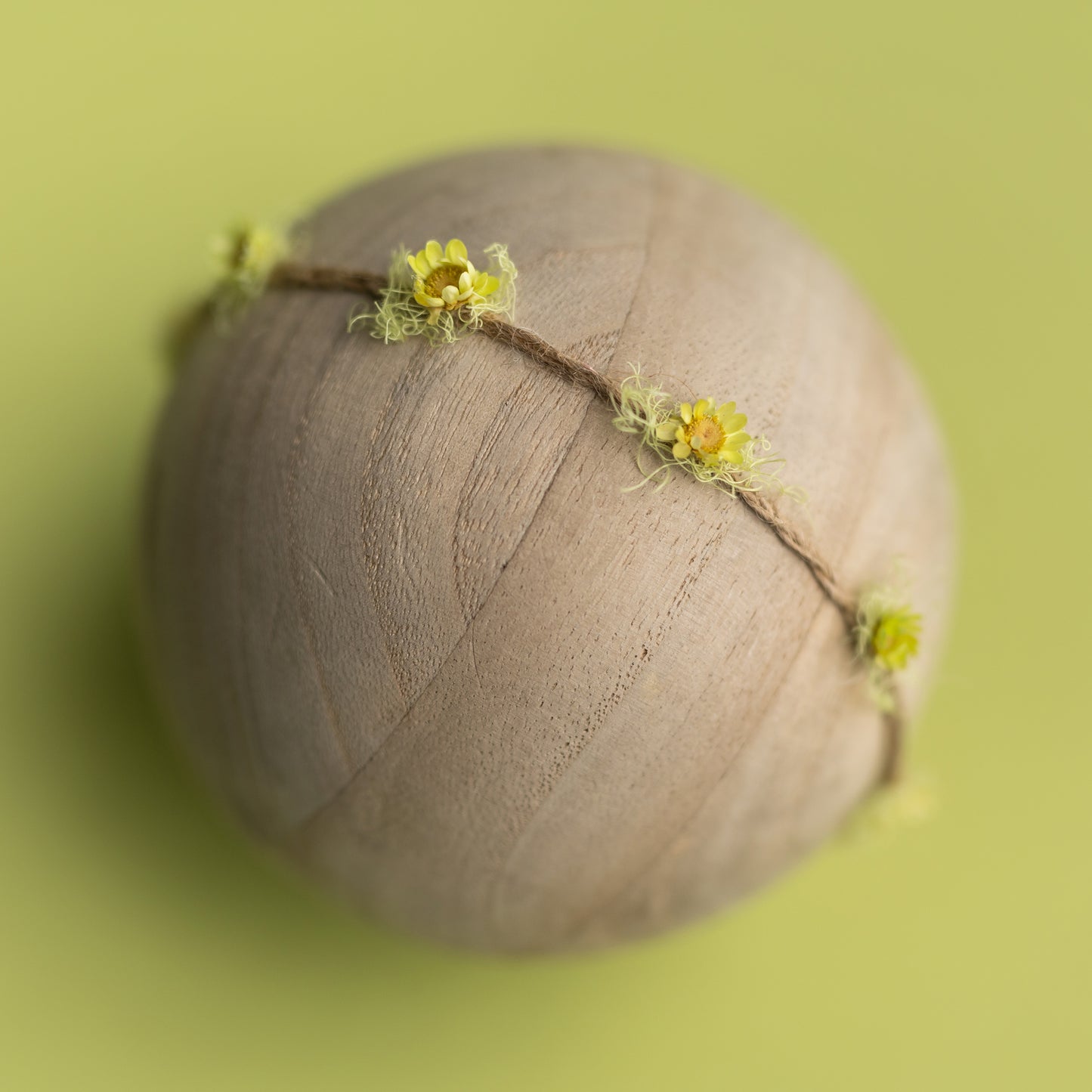 Dinky Daisy Band | Green River