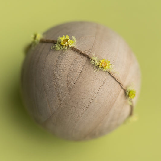 Dinky Daisy Band | Green River