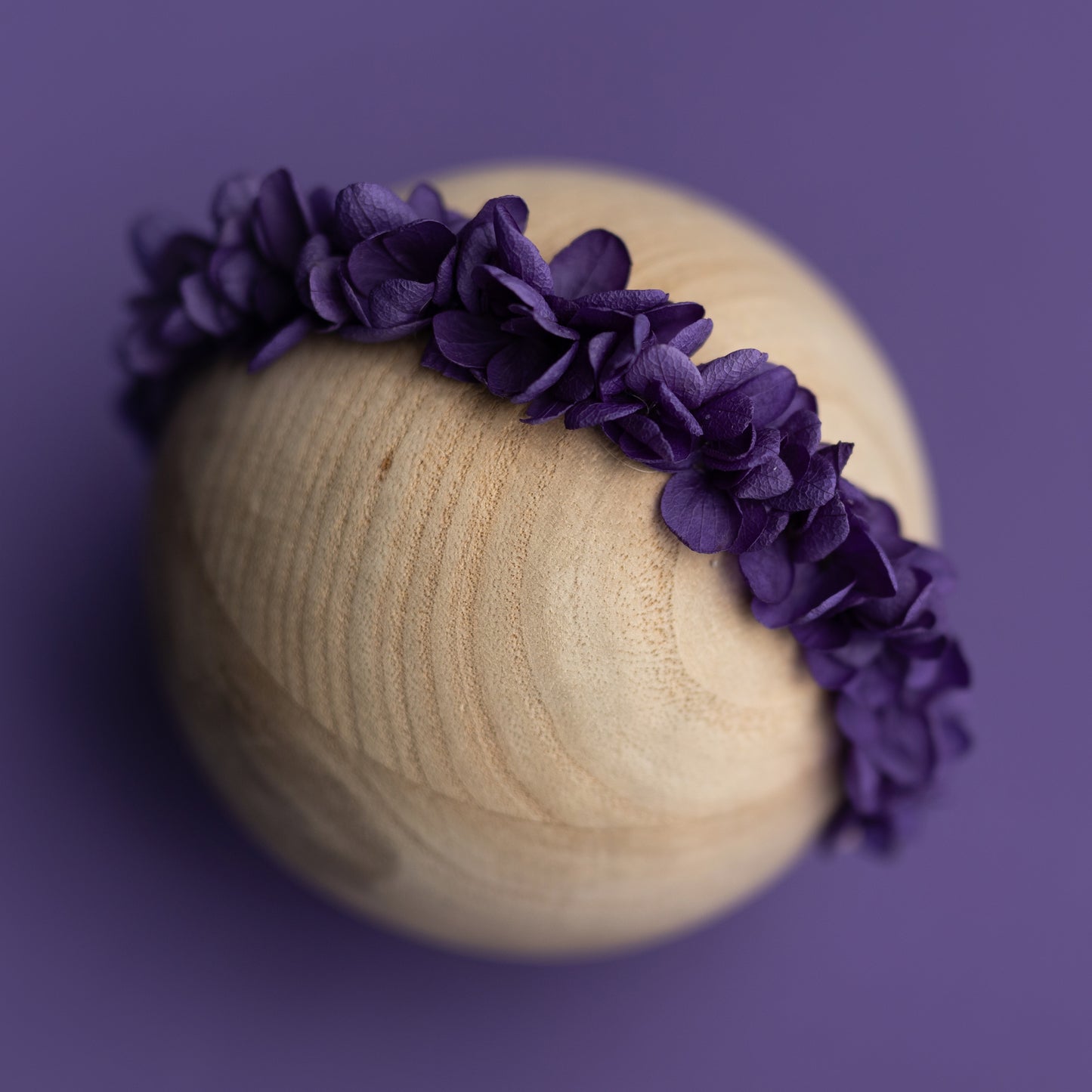 Petal Halo | Panther