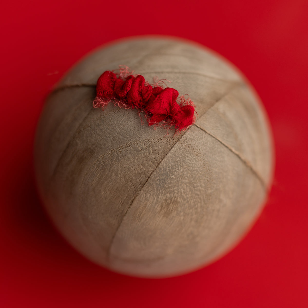 Dinky Bow Band | Poppy