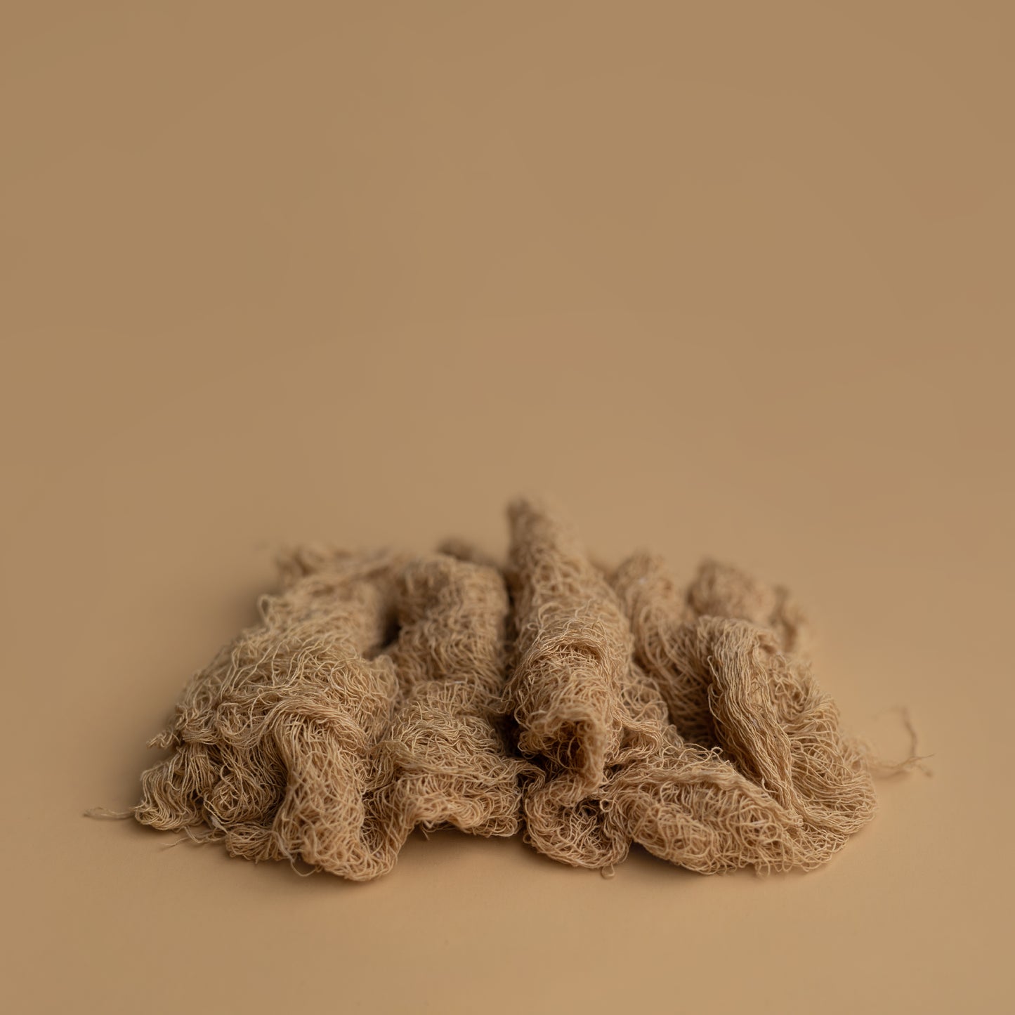Nuthin But Net | Prairie
