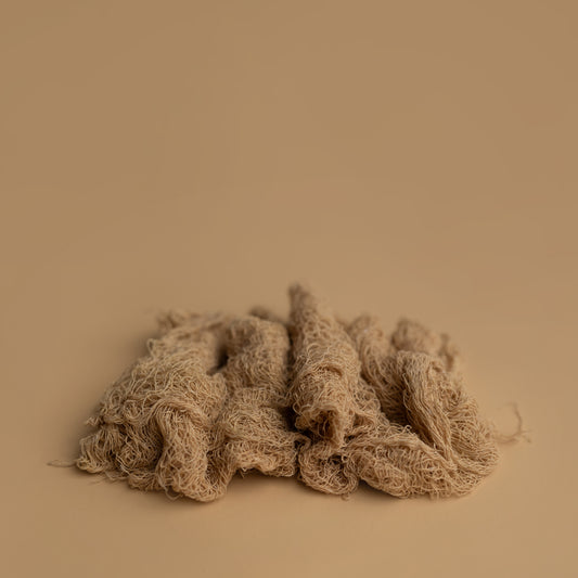 Nuthin But Net | Prairie