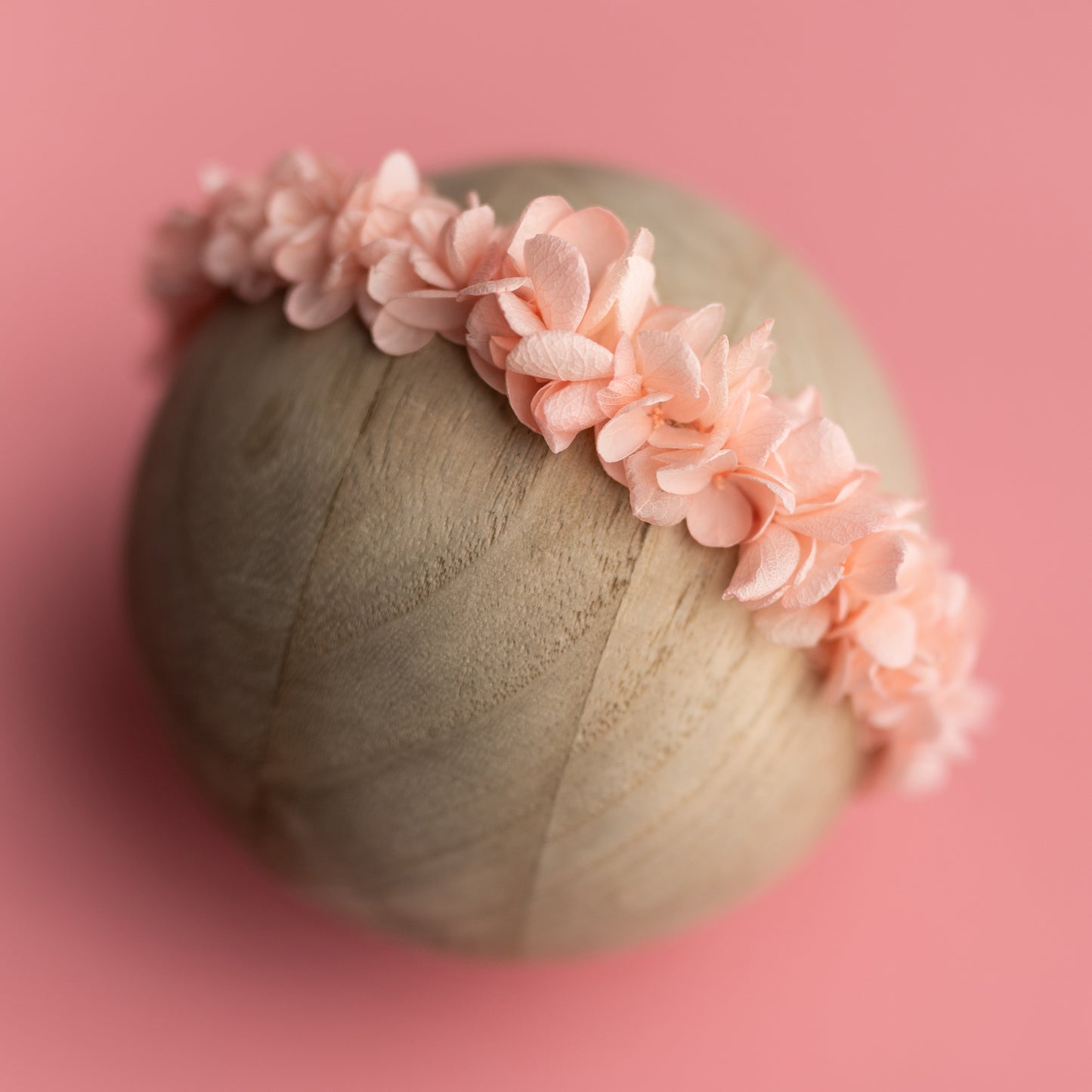 Petal Halo | Rosedale