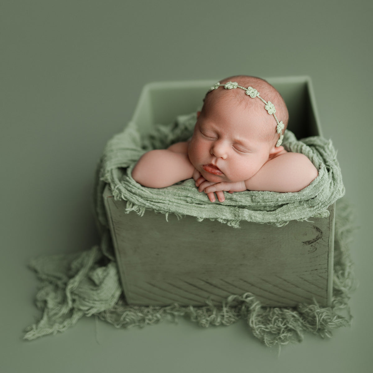 Sweet Little Box | Succulent