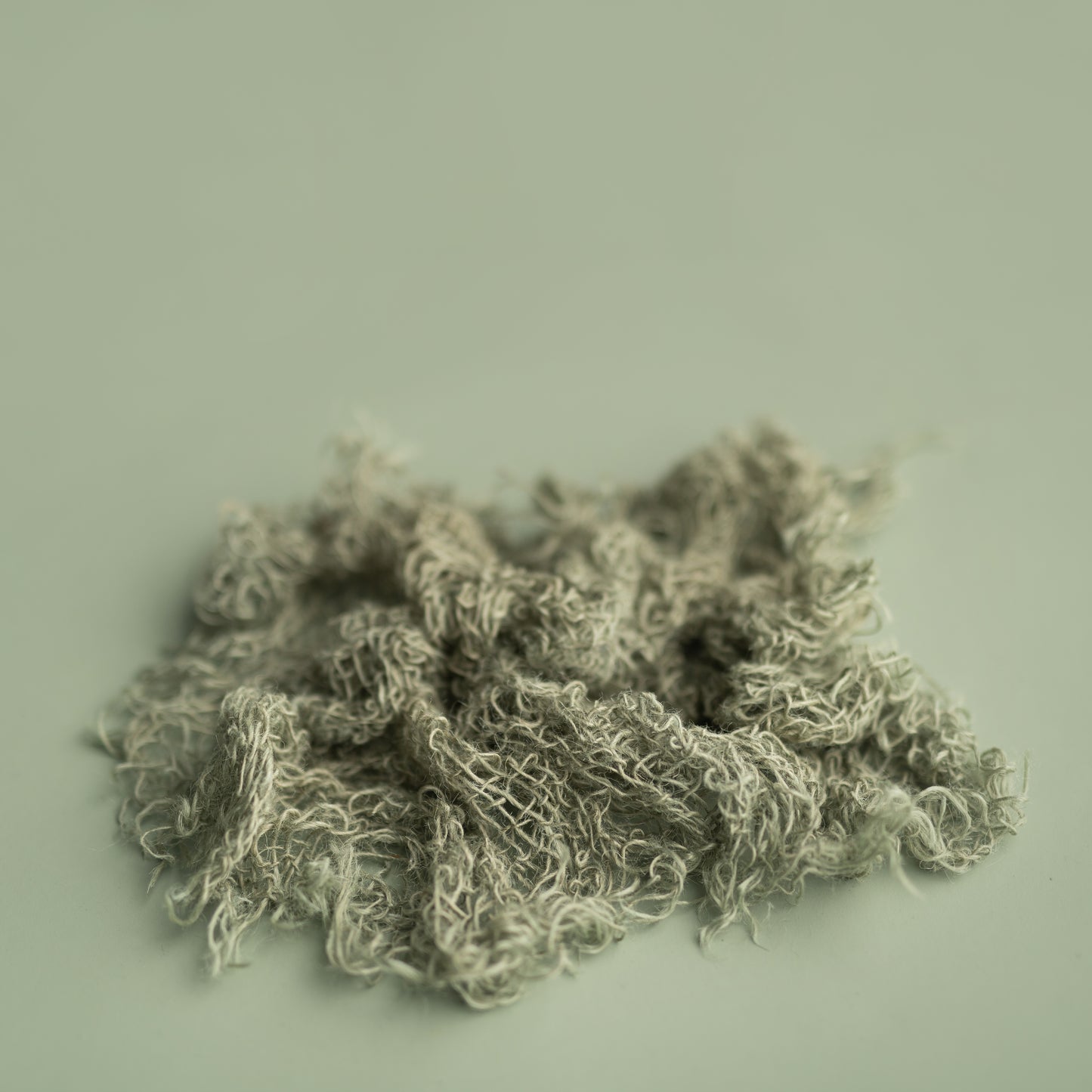 Rustic Layer | Succulent