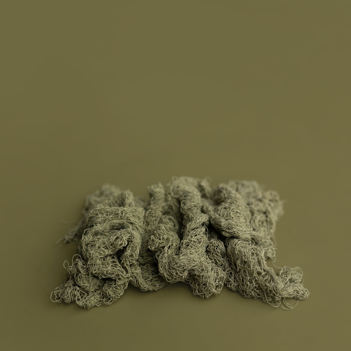 Nuthin But Net | The Swamp