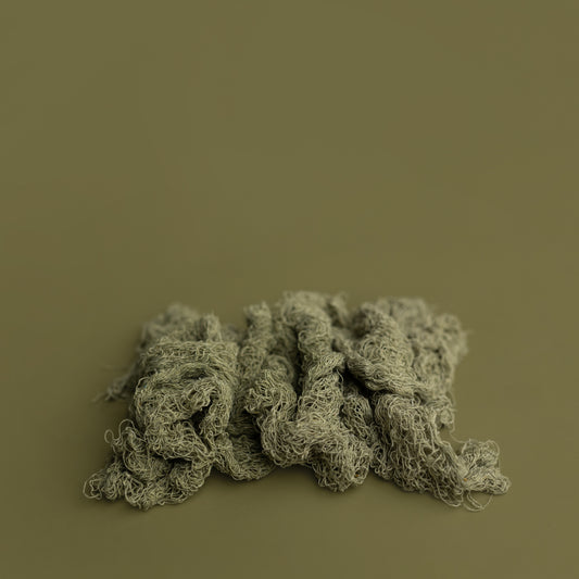 Nuthin But Net | The Swamp