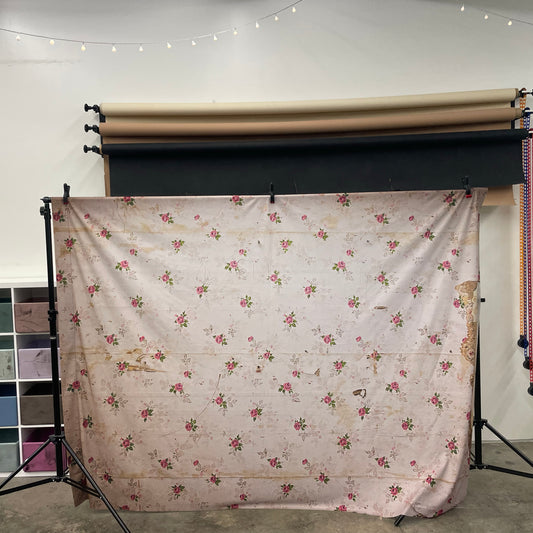 Destash | Wallflower 6x8 Fabric Backdrop