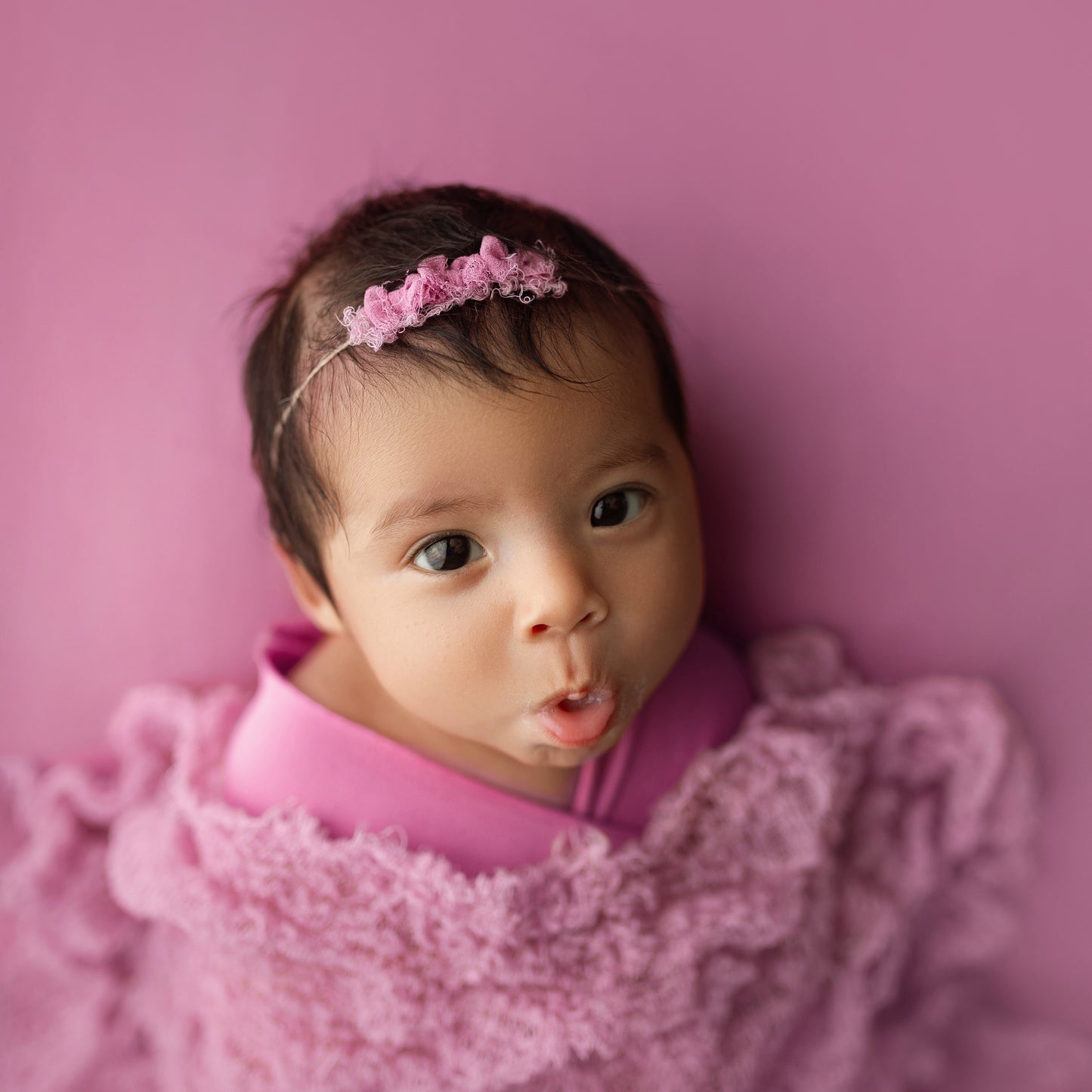 Dinky Bow Band | Wild Rose