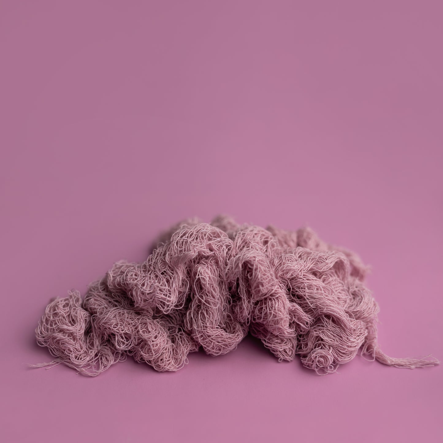 Nuthin But Net | Wild Rose